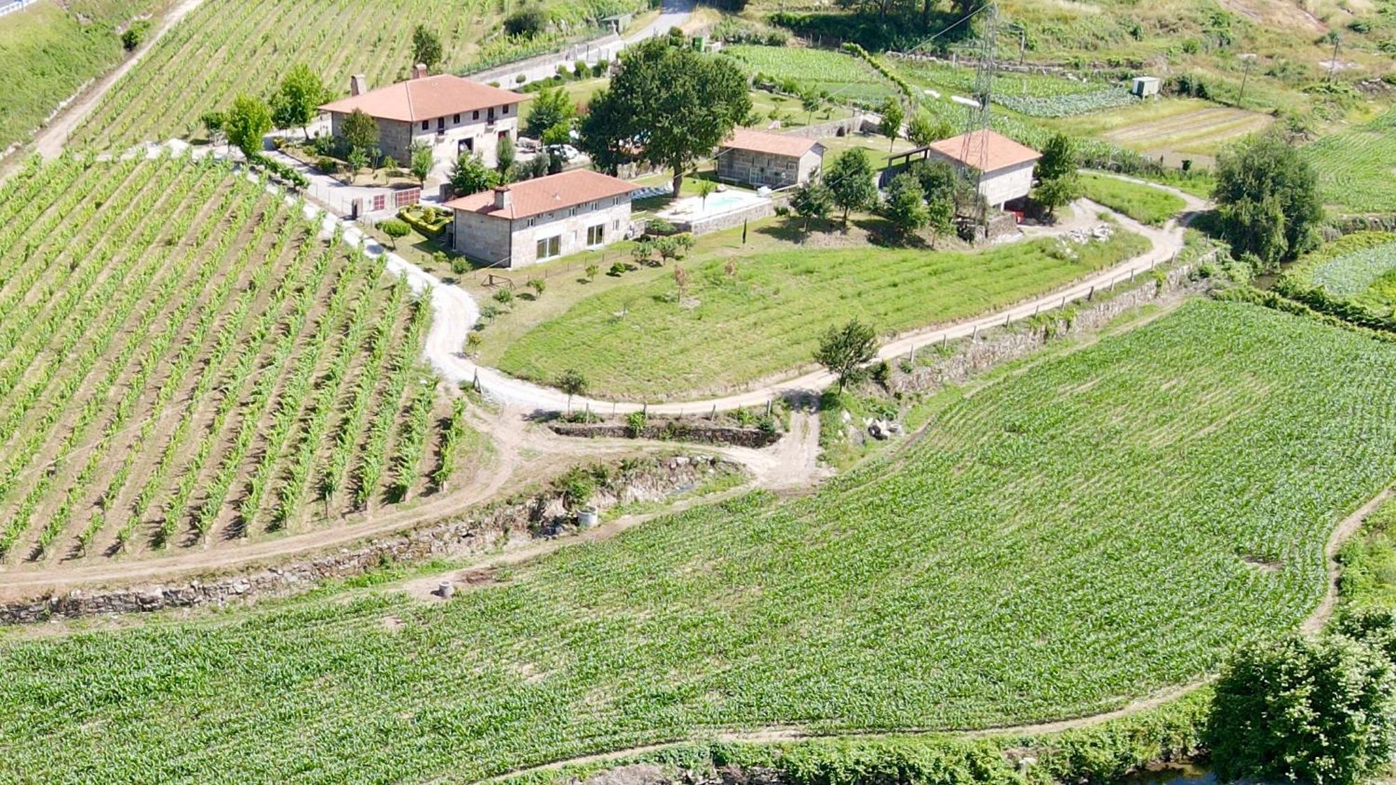 Quinta De Carvalhal - Casa Da Vinha Villa กิมาไรส์ ภายนอก รูปภาพ